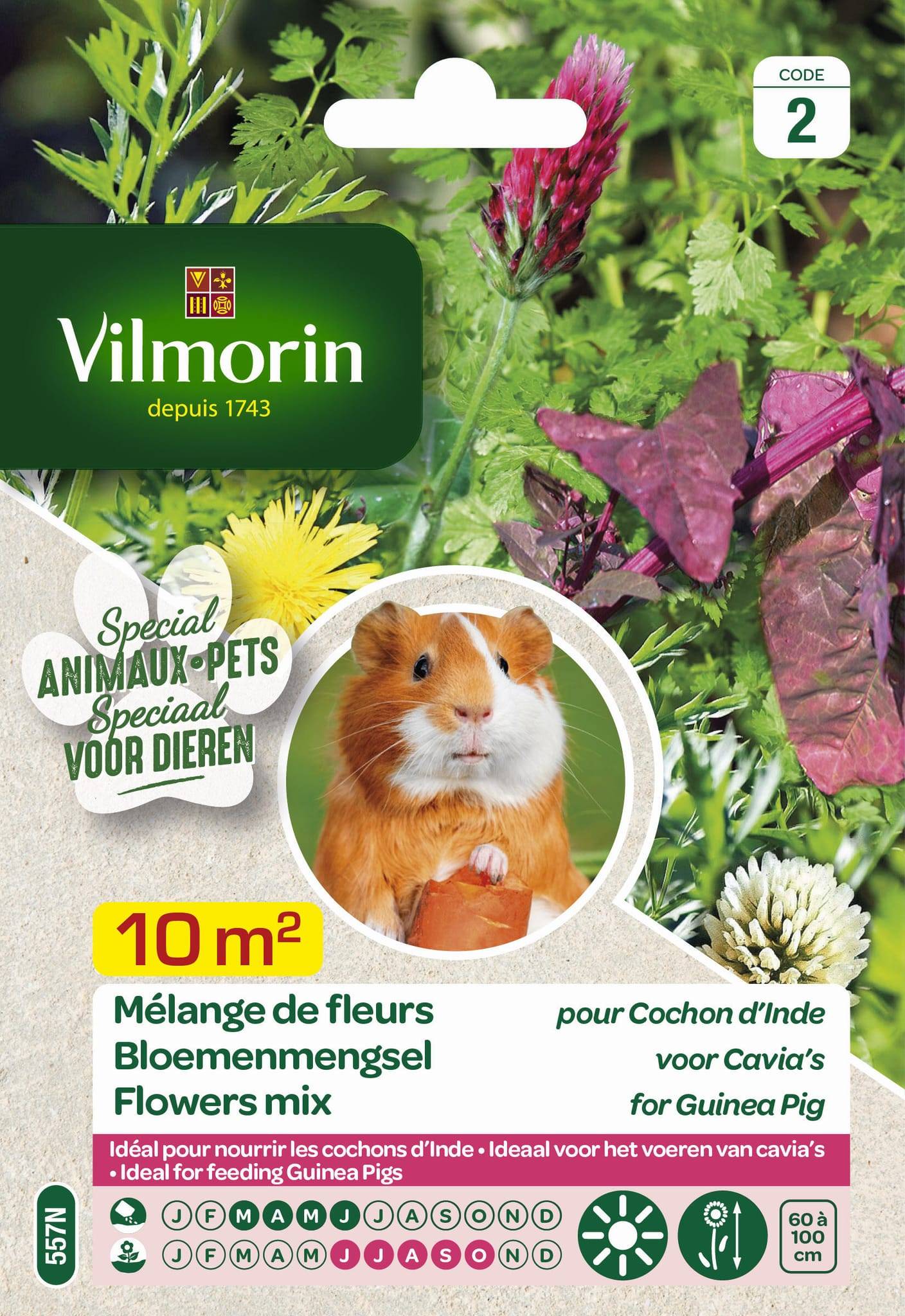 Vilmorin - Mélange de fleurs pour Cochons d'Inde serie 2 sachet graines 12 g - Vilmorin - Image 3