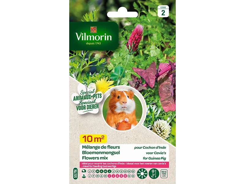 Vilmorin - Mélange de fleurs pour Cochons d'Inde serie 2 sachet graines 12 g - Vilmorin - Image 7