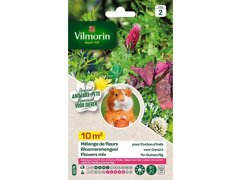 Vilmorin - Mélange de fleurs pour Cochons d'Inde serie 2 sachet graines 12 g - Vilmorin - Image 6