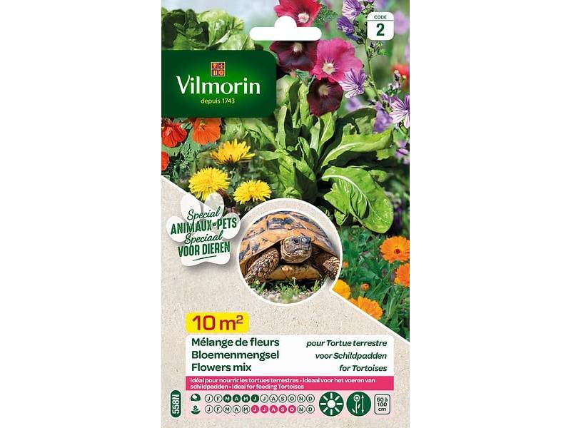 Vilmorin - Mélange de fleurs pour Tortues Terrestres serie 2 sachet graines 12 g - Vilmorin - Image 6