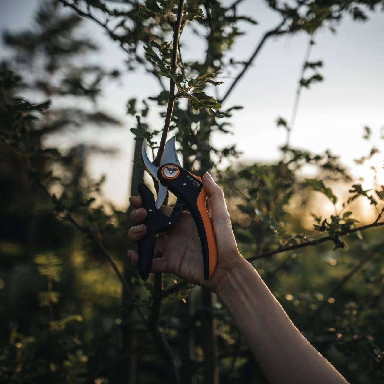 Fiskars - Sécateur Plus PowerLever P721 Ø 24 mm - FISKARS - Image 2