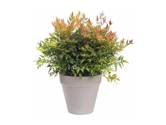Pot de fleurs rond Loft Urban plastique anthracite Ø 50 x H.44 cm - Elho - Image 4