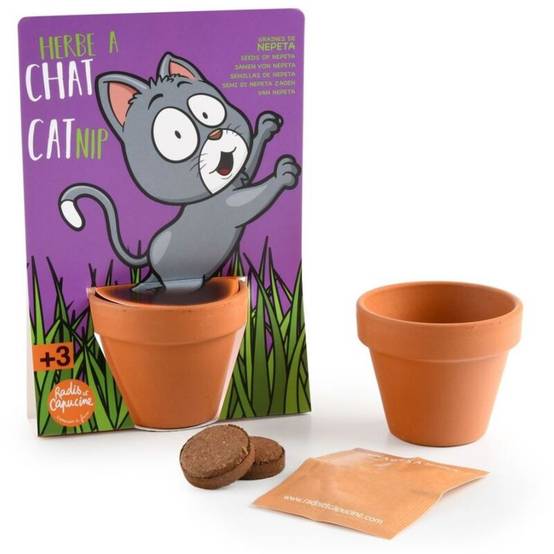 Radis et Capucine - Kit de jardinage herbe à chat carte avec pot - Radis et capucine - Image 2