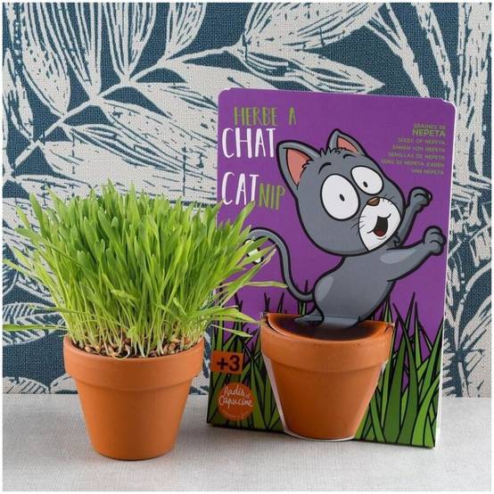 Radis et Capucine - Kit de jardinage herbe à chat carte avec pot - Radis et capucine - Image 5