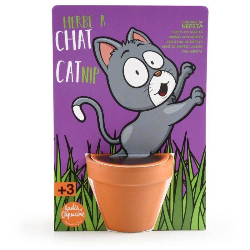 Radis et Capucine - Kit de jardinage herbe à chat carte avec pot - Radis et capucine - Image 3