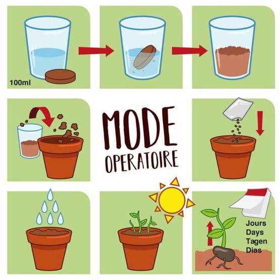 Radis et Capucine - Kit de jardinage herbe à chat carte avec pot - Radis et capucine - Image 4