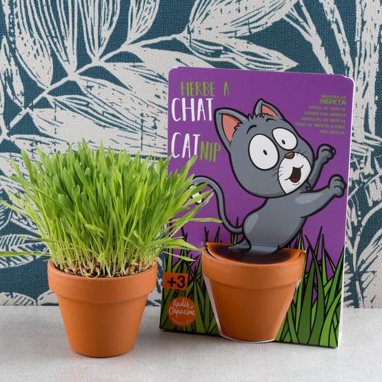 Radis et Capucine - Kit de jardinage herbe à chat carte avec pot - Radis et capucine - Image 7