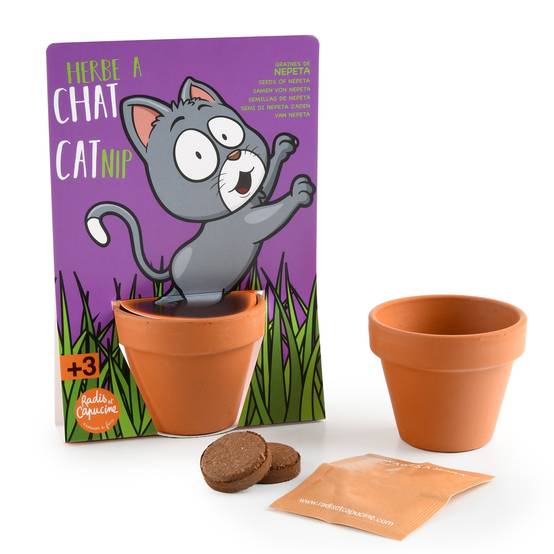 Radis et Capucine - Kit de jardinage herbe à chat carte avec pot - Radis et capucine - Image 6