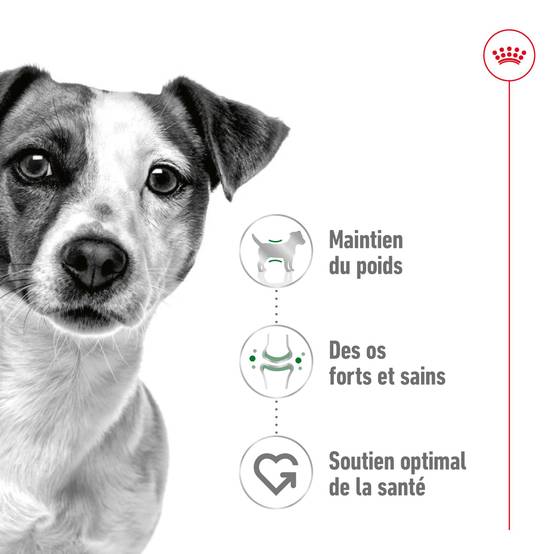 Royal Canin - Royal Canin - Croquettes pour chien Mini Adult - 4 kg - Image 11