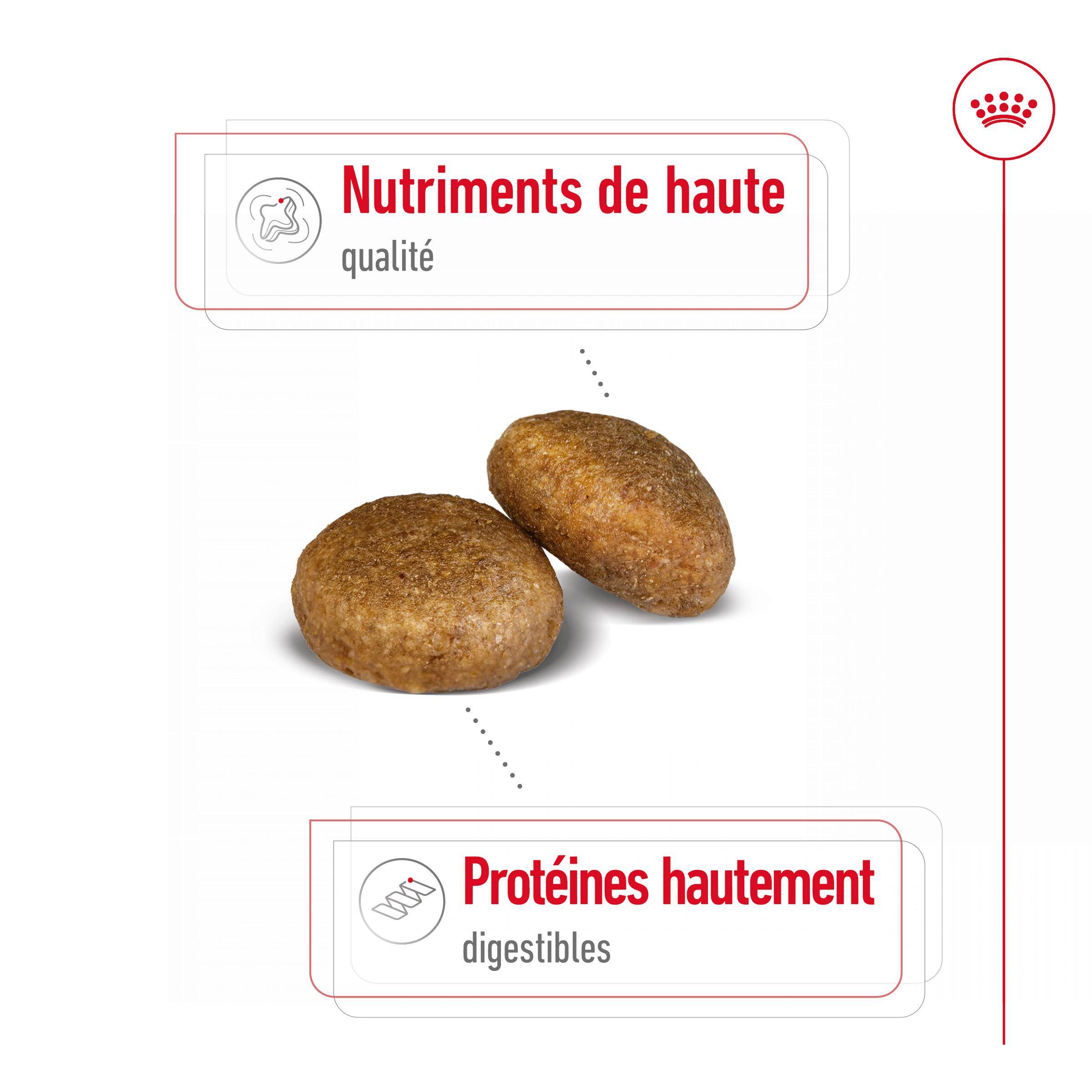 Royal Canin - Croquettes "Maxi Adult" - Royal Canin® - Image 4