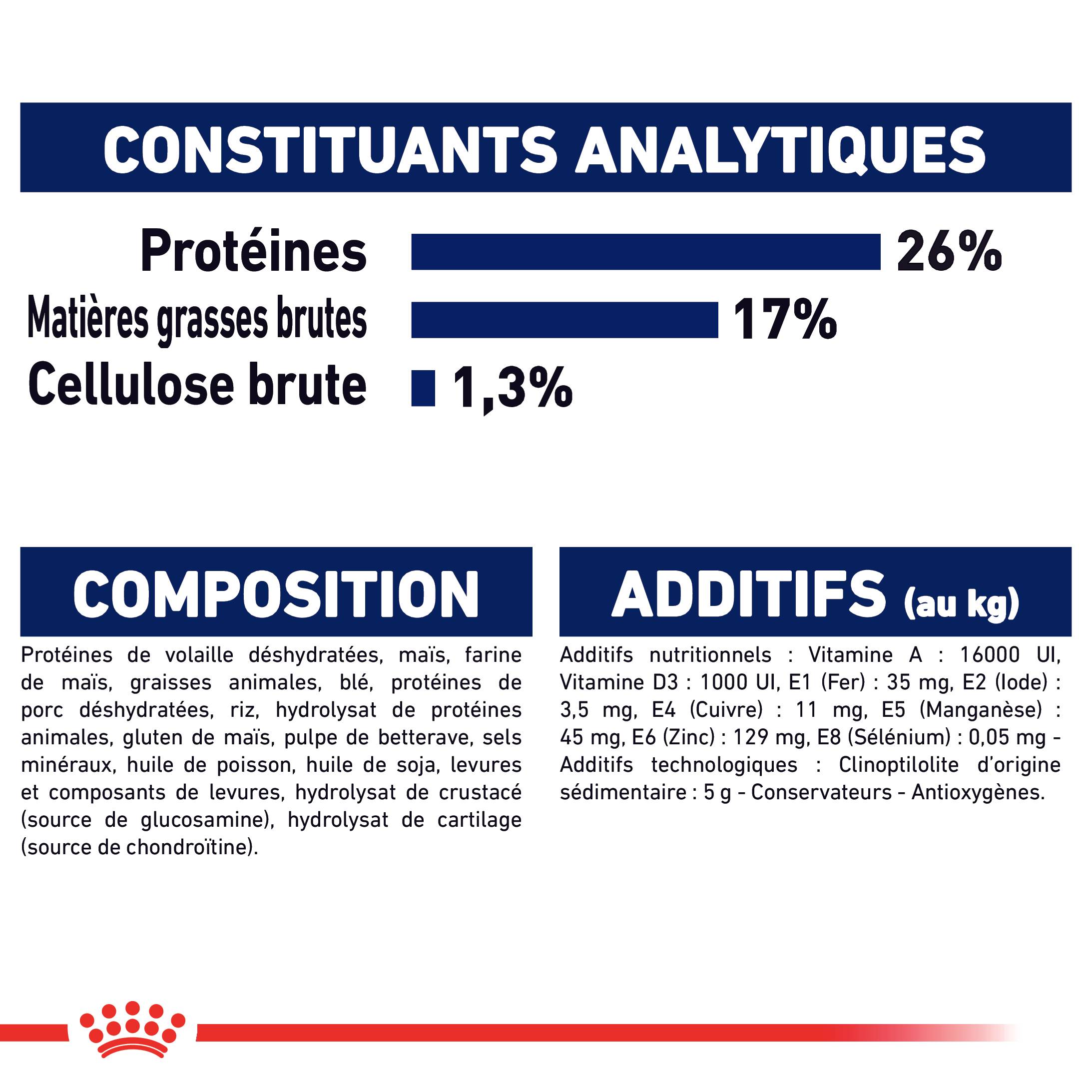 Royal Canin - Croquettes "Maxi Adult" - Royal Canin® - Image 9