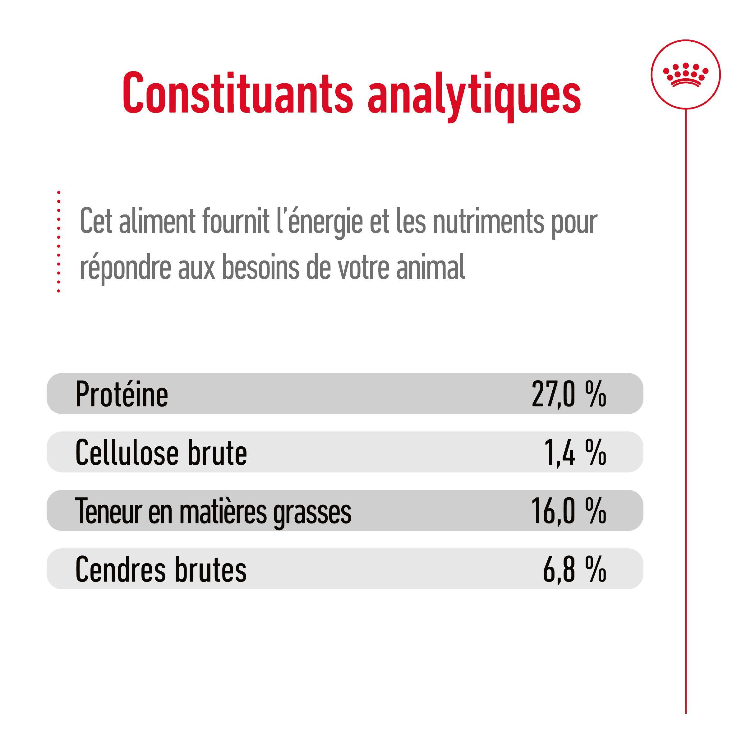 Aliment Chien Croquettes Poulet 800 g – ROYAL CANIN - Image 3
