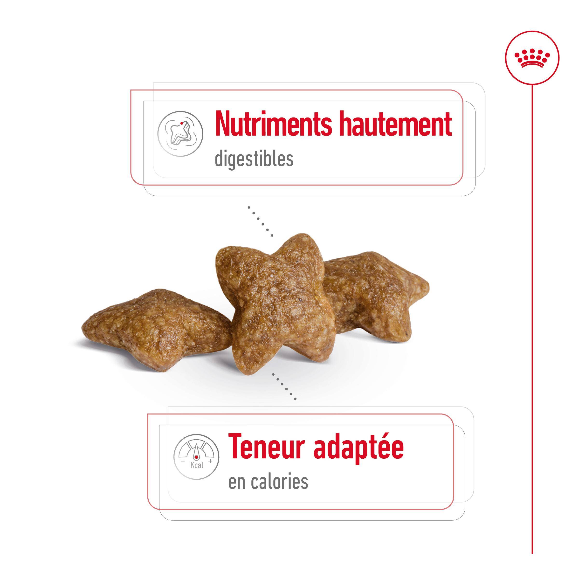 Aliment Chien Croquettes Poulet 800 g – ROYAL CANIN - Image 10