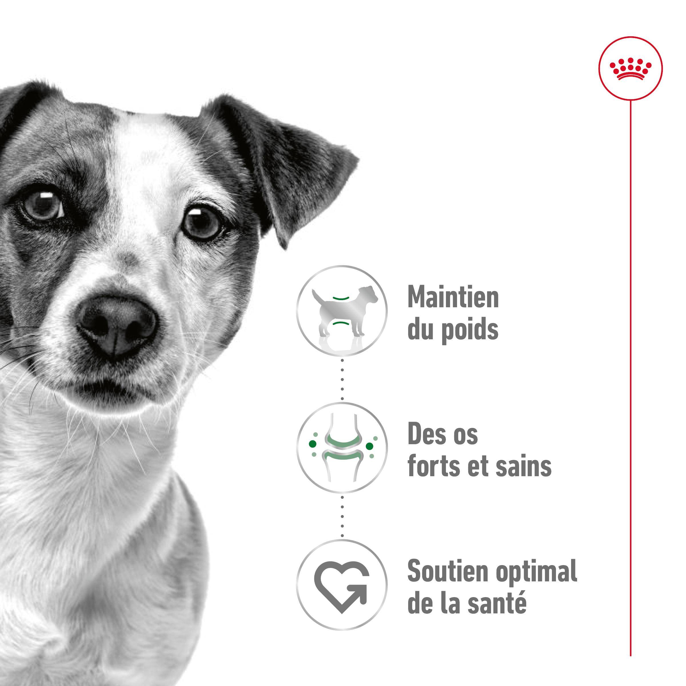 Aliment Chien Croquettes Poulet 800 g – ROYAL CANIN - Image 4