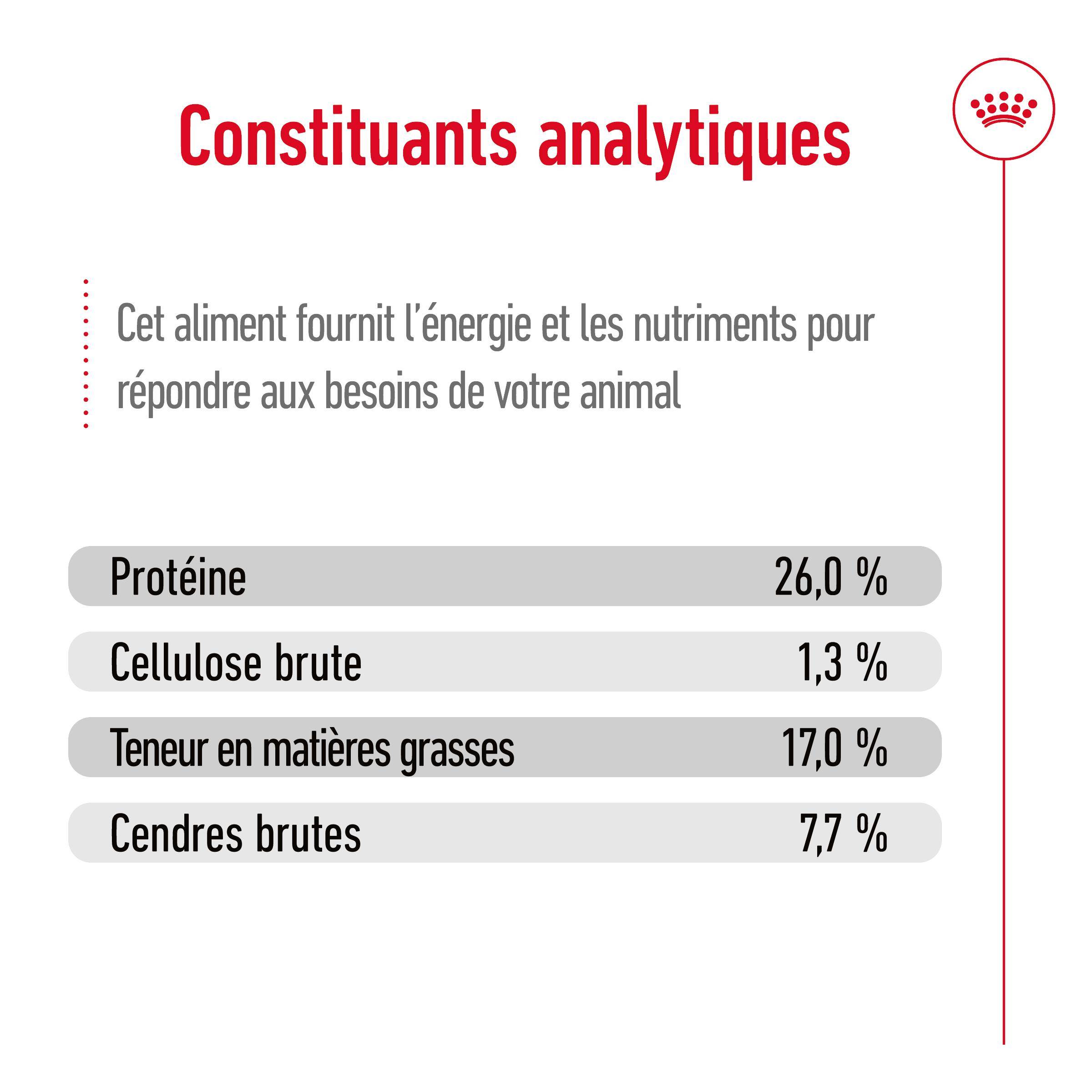 Royal Canin - Croquettes pour chien Maxi Adulte 15 kg + 3 kg - ROYAL CANIN - Image 10