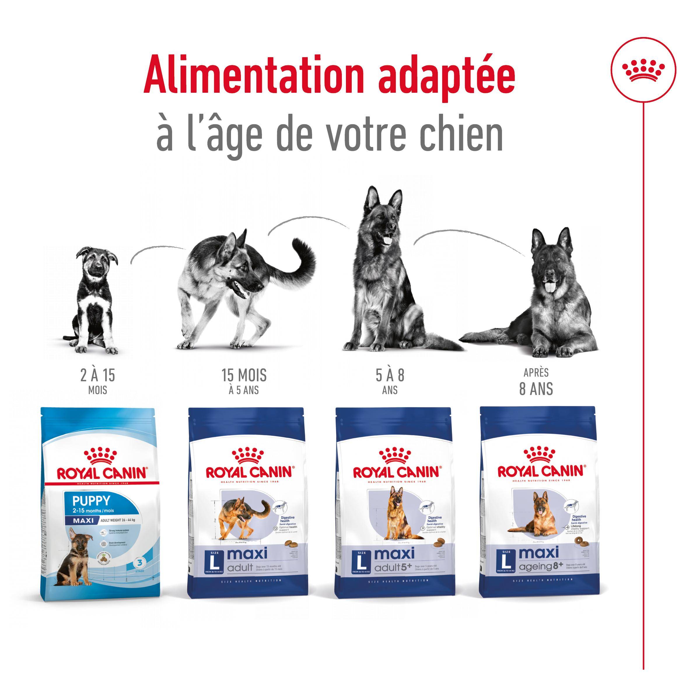 Royal Canin - Croquettes pour chien Maxi Adulte 15 kg + 3 kg - ROYAL CANIN - Image 6