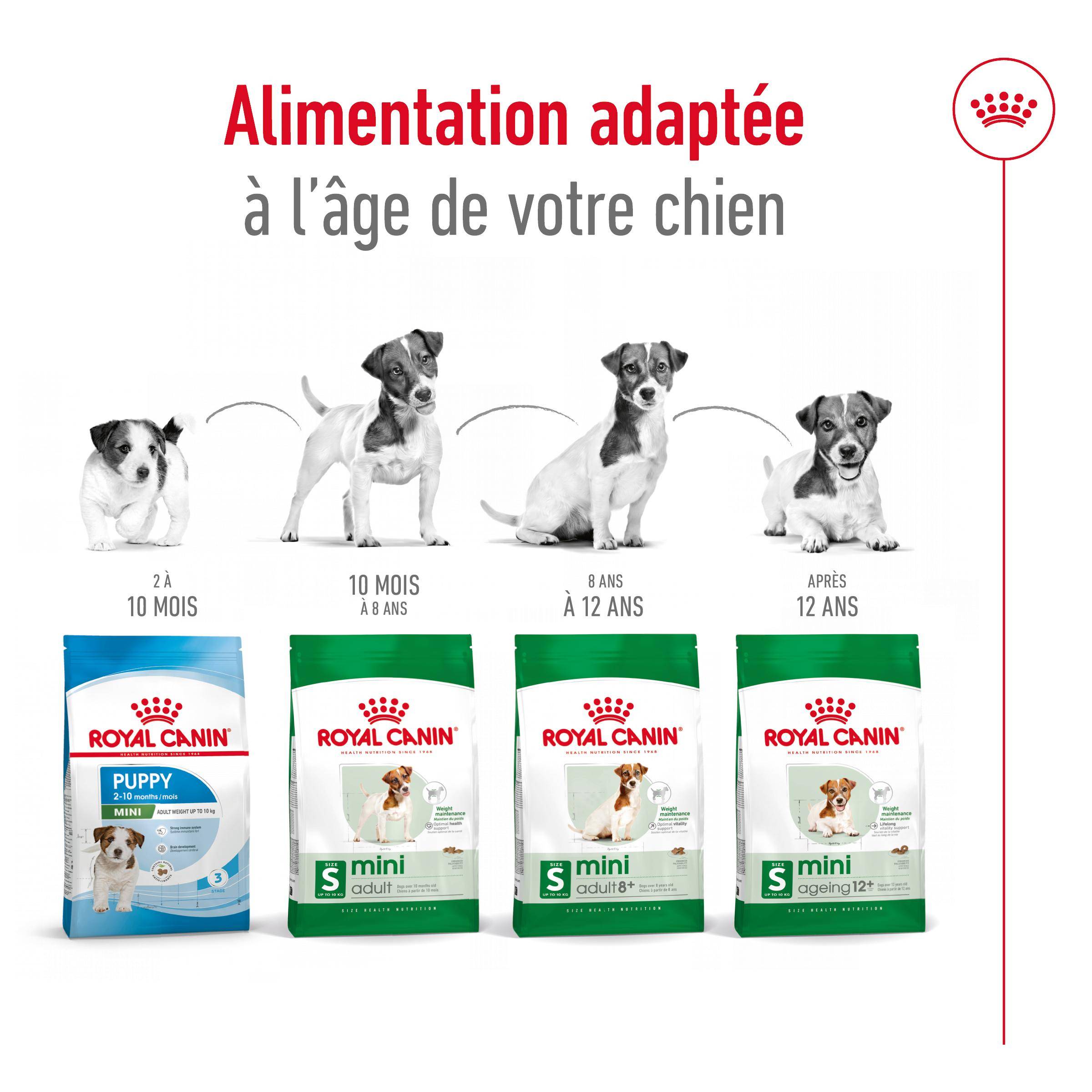 Royal Canin - Croquettes pour chien Mini Adult - ROYAL CANIN - Image 5