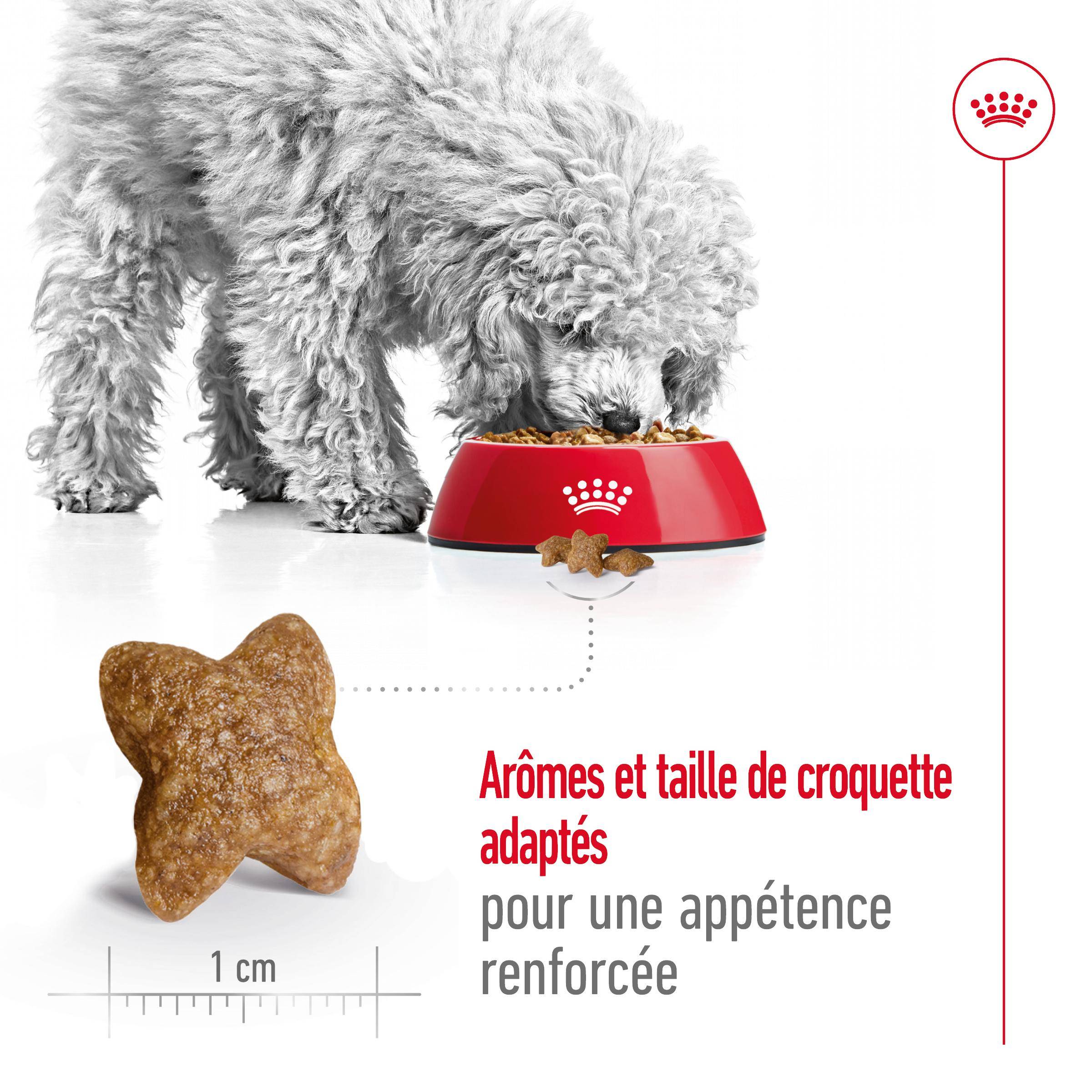 Royal Canin - Croquettes pour chien Mini Adult - ROYAL CANIN - Image 12