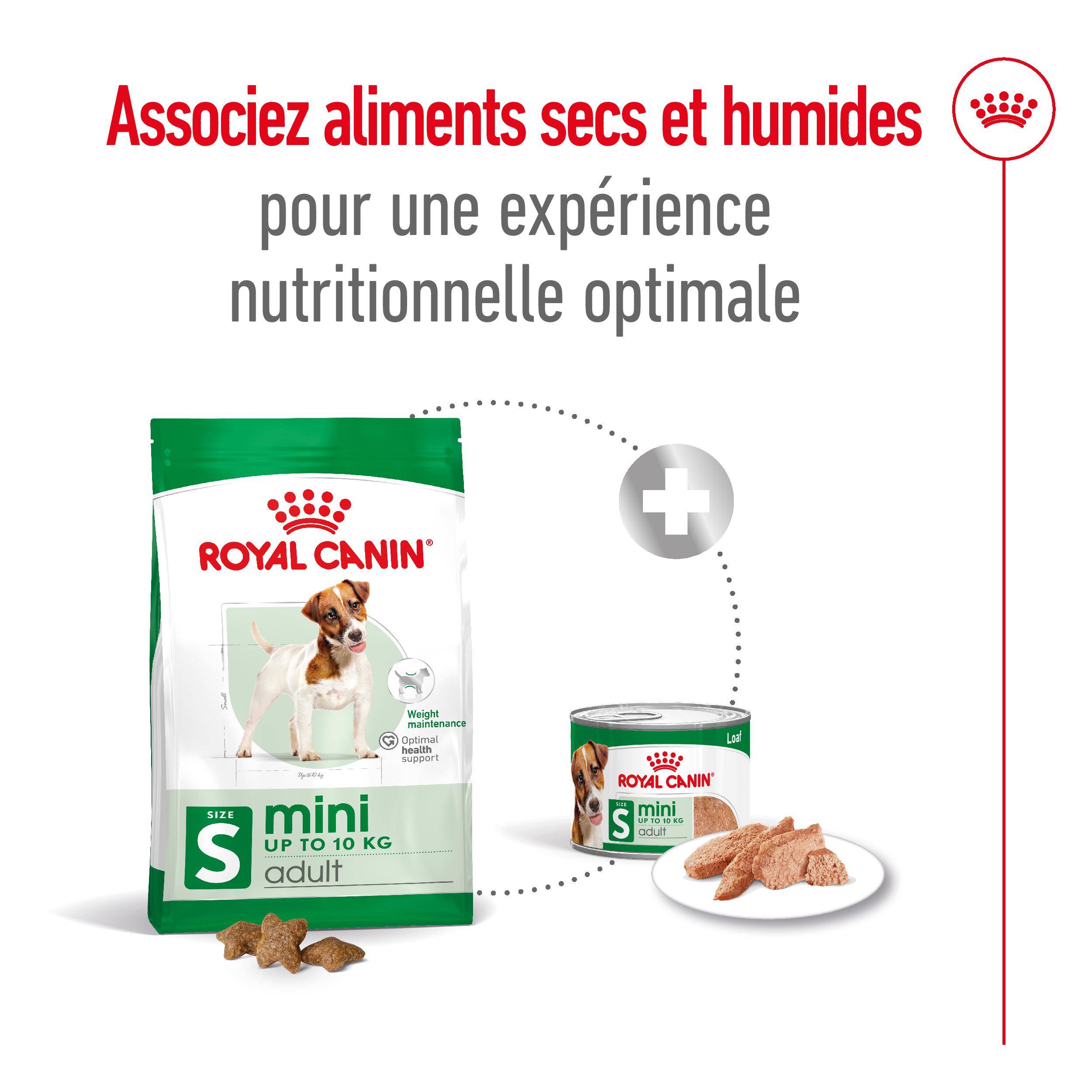 Royal Canin - Croquettes pour chien Mini Adult - ROYAL CANIN - Image 10