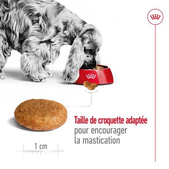 Royal Canin - Croquettes Medium Adult - Royal Canin® - Image 6