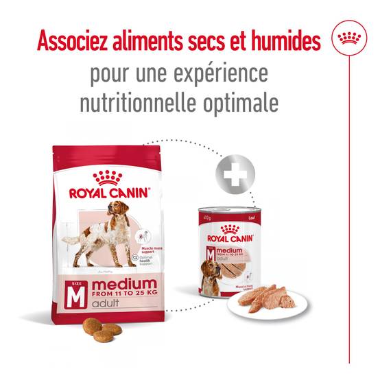 Royal Canin - Croquettes Medium Adult - Royal Canin® - Image 4