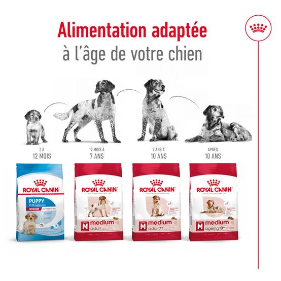 Royal Canin - Croquettes Medium Adult - Royal Canin® - Image 3