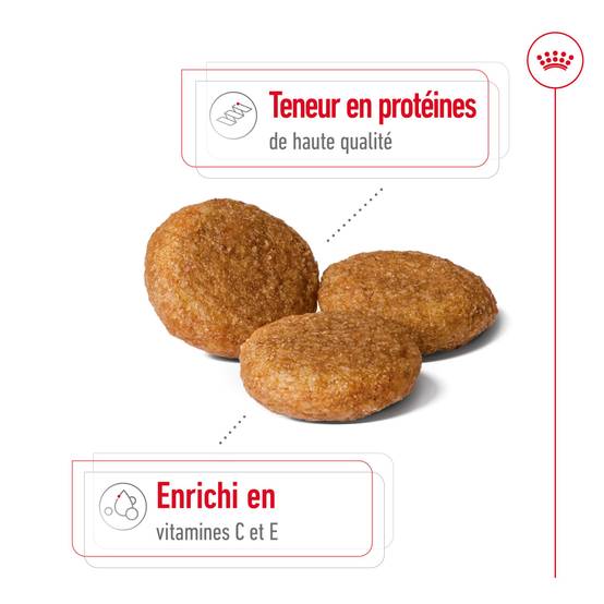 Royal Canin - Croquettes Medium Adult - Royal Canin® - Image 11