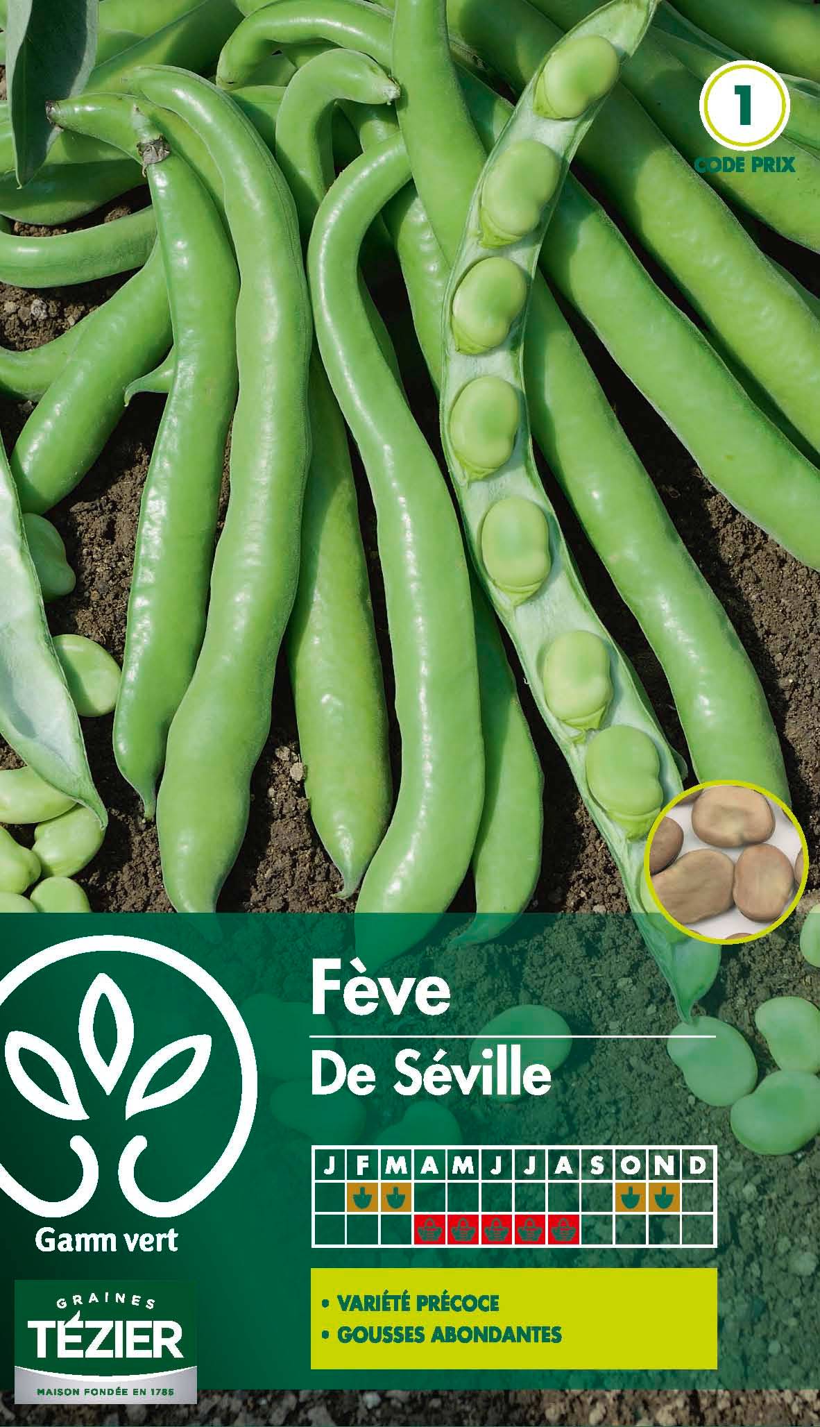 Gamm Vert - Fève de Séville série 1 sachet graines 250 g - Gamm Vert