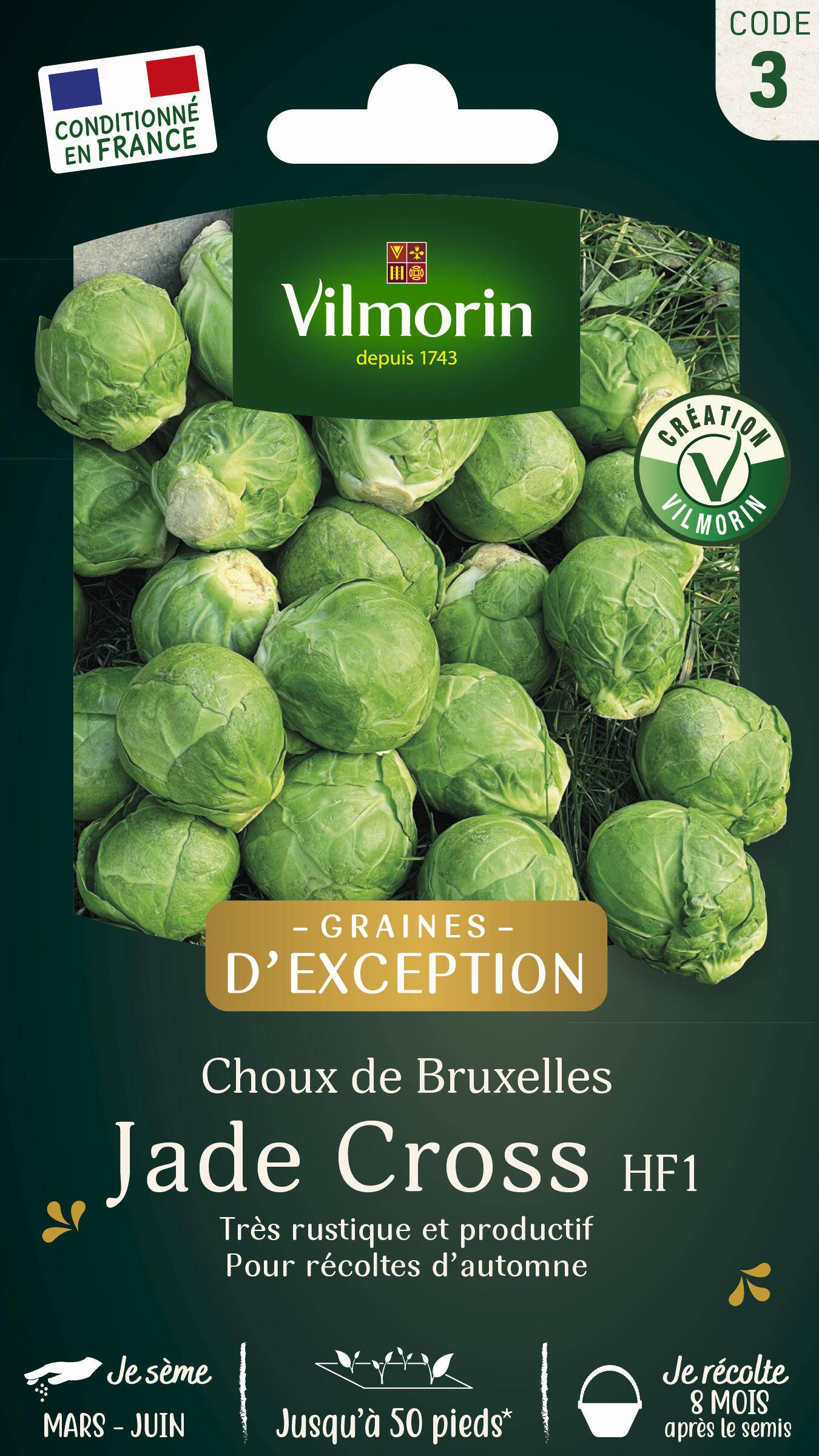 Vilmorin - Sachet de graines de Chou de bruxelles Jade Cross HF1 - Série 3 - 0,8 g - VILMORIN - Image 1