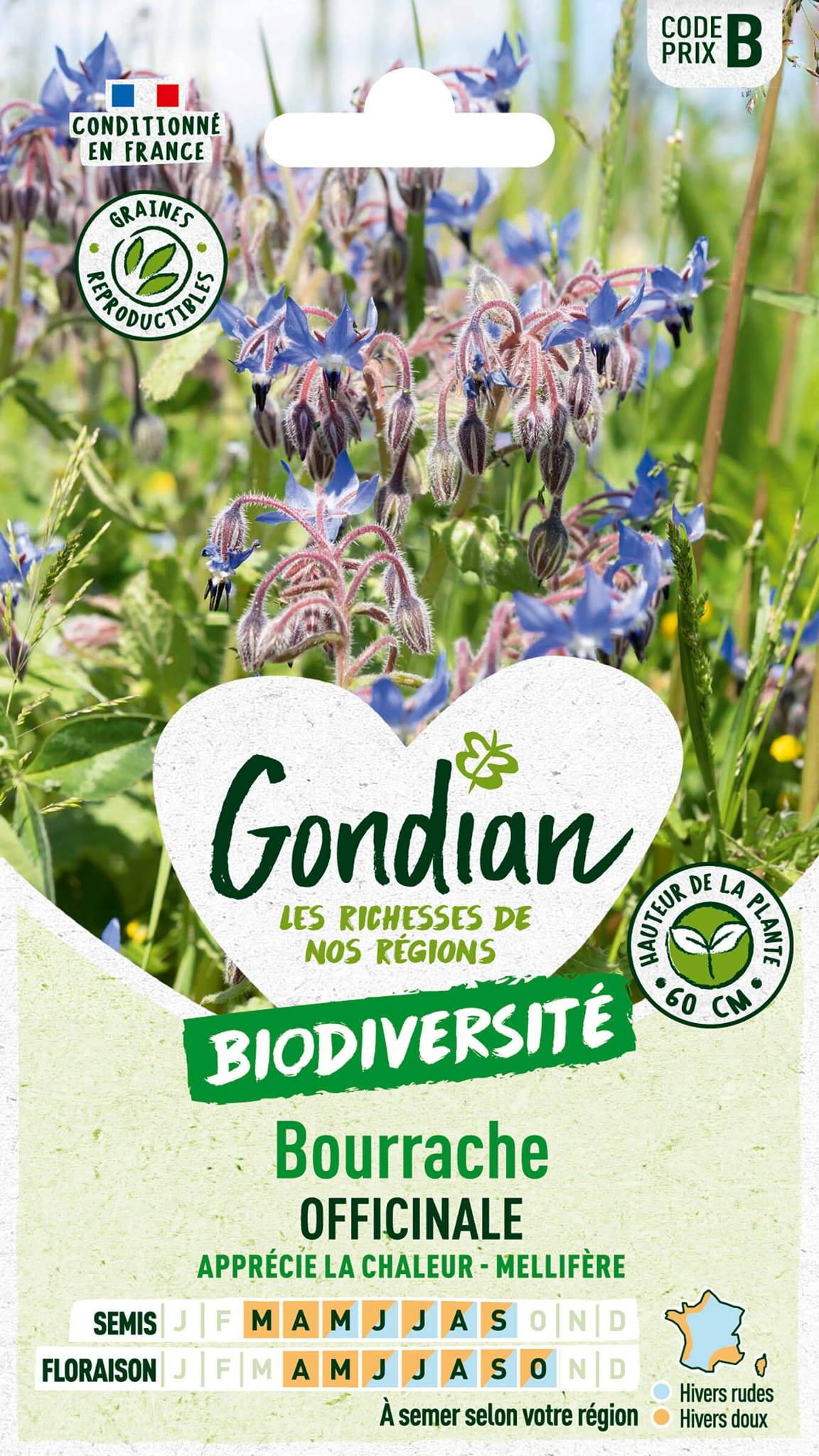 Sachet de graines de bourrache officinale - Série B - 1 g - GONDIAN