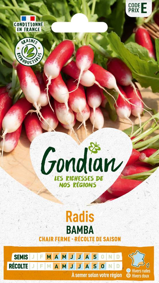 Sachet de graines de Radis demi long Bamba - Série E - 10 g - GONDIAN - Image 1