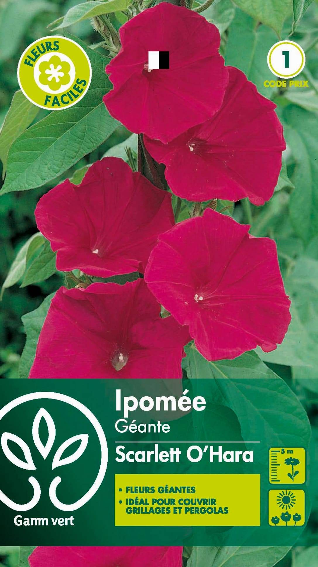 Gamm Vert - Ipomée Géante Scarlett O'Hara serie 1 sachet graines 3 g - Gamm Vert