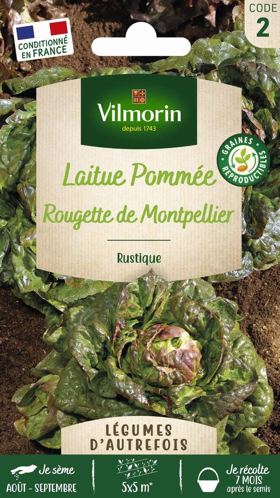 Vilmorin - Laitue d'hiver rougette de Montpellier graines noires série 2 sachet graines 4 g - Vilmorin - Image 1