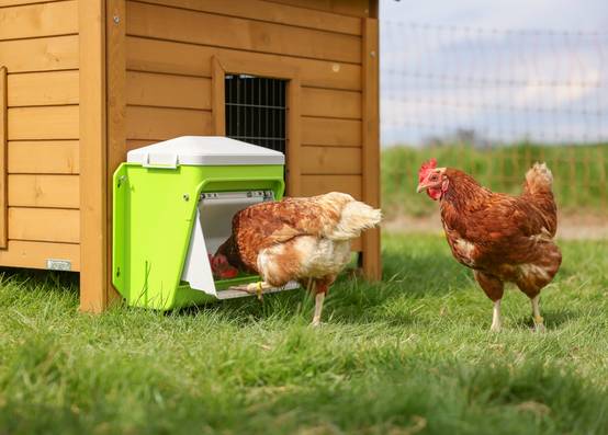 Kerbl - Nourrisseur automatique pour poule et volailles de la basse-cour SmartCoop 7,5 kg - Kerbl - Image 3