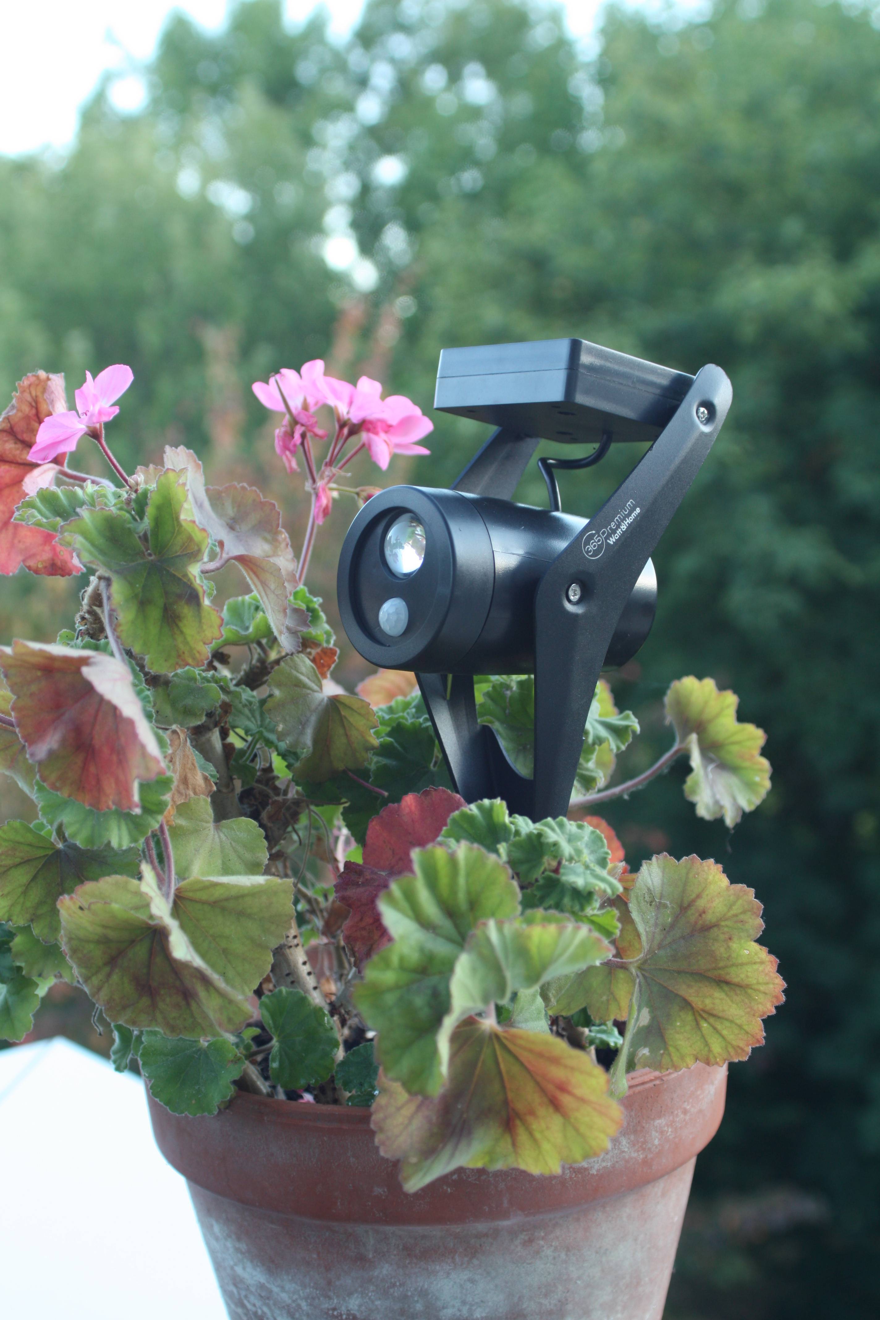Ecloz - Spot à planter alu noir avec détecteur 250 lumens - ECLOZ - Image 2