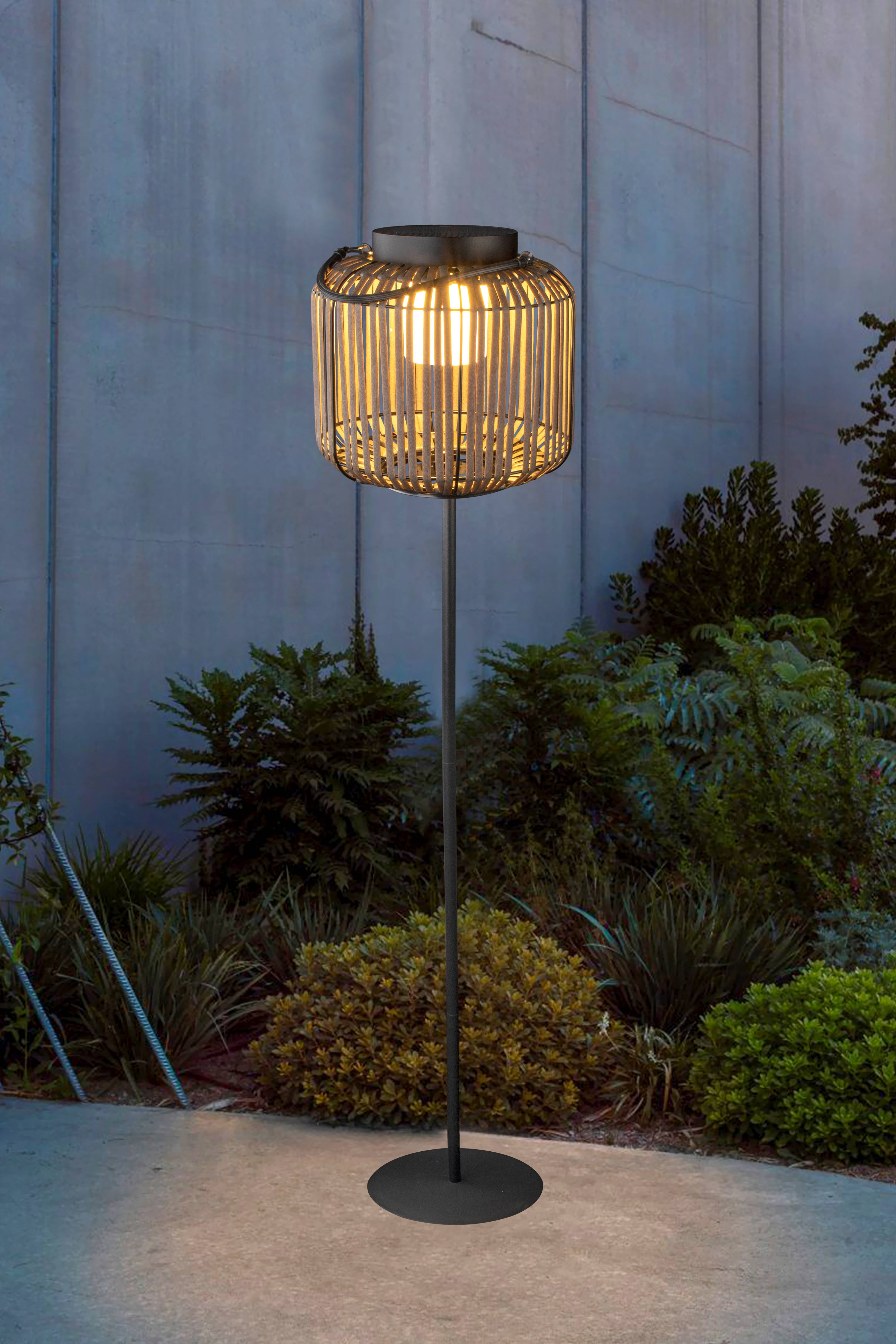 Ecloz - Lampe 150 Lumens 3-en-1 - ECLOZ - Image 2