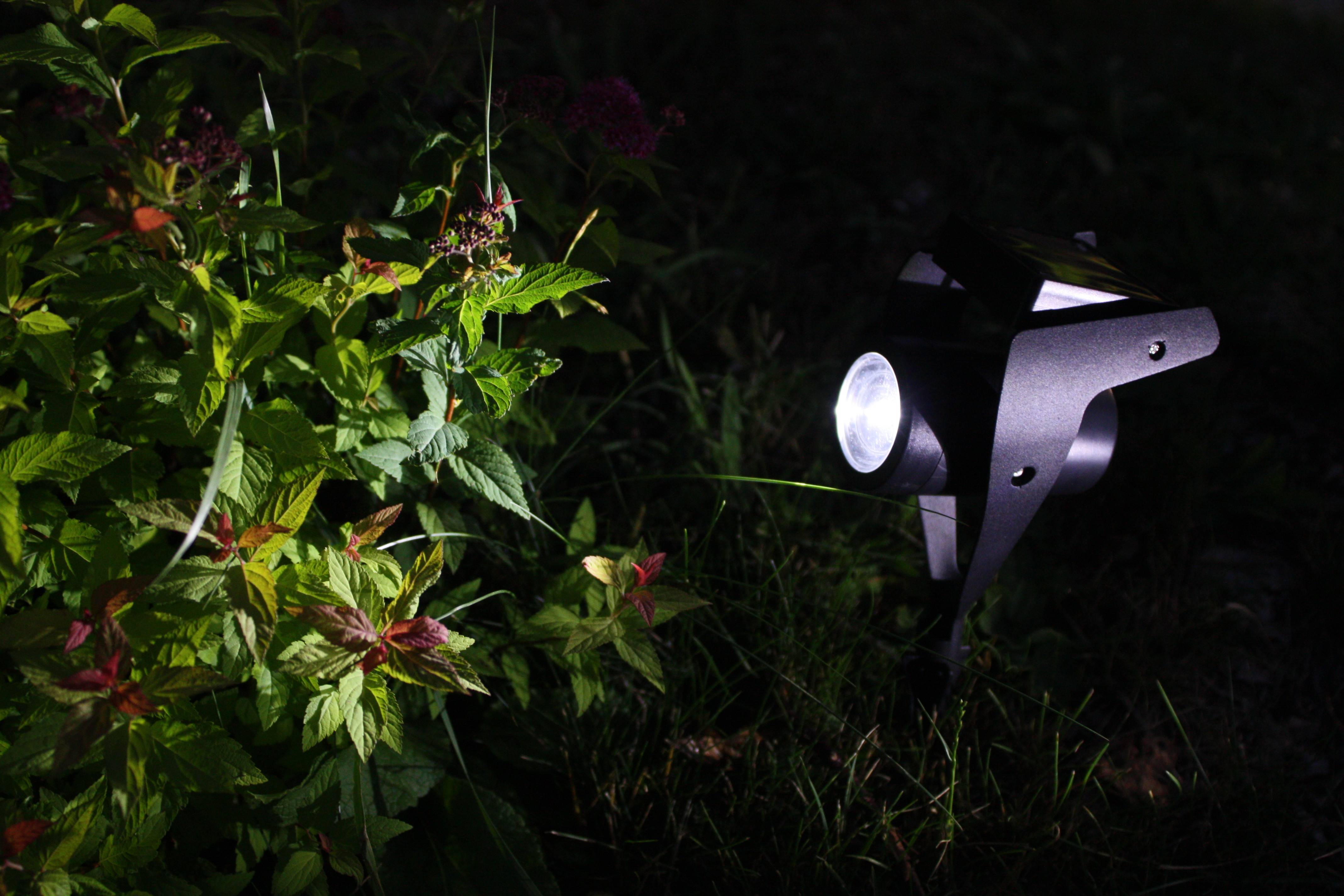 Ecloz - Spot à planter alu noir 150 lumens - ECLOZ - Image 1