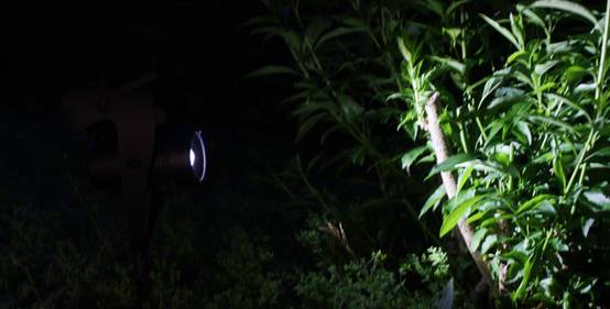 Ecloz - Spot sécurité à planter alu noir 30 lumens - ECLOZ - Image 4