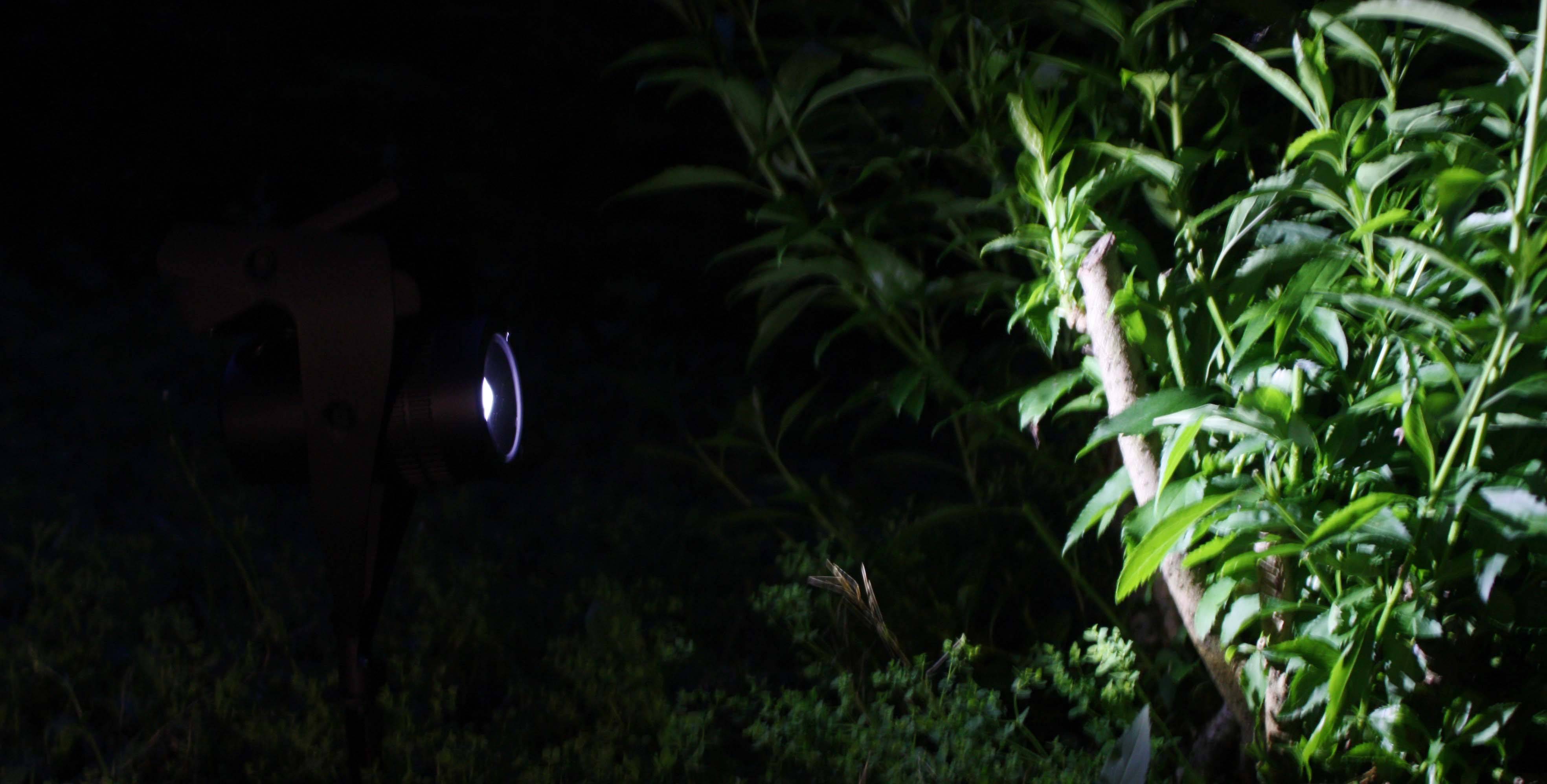 Ecloz - Spot sécurité à planter alu noir 30 lumens - ECLOZ - Image 4