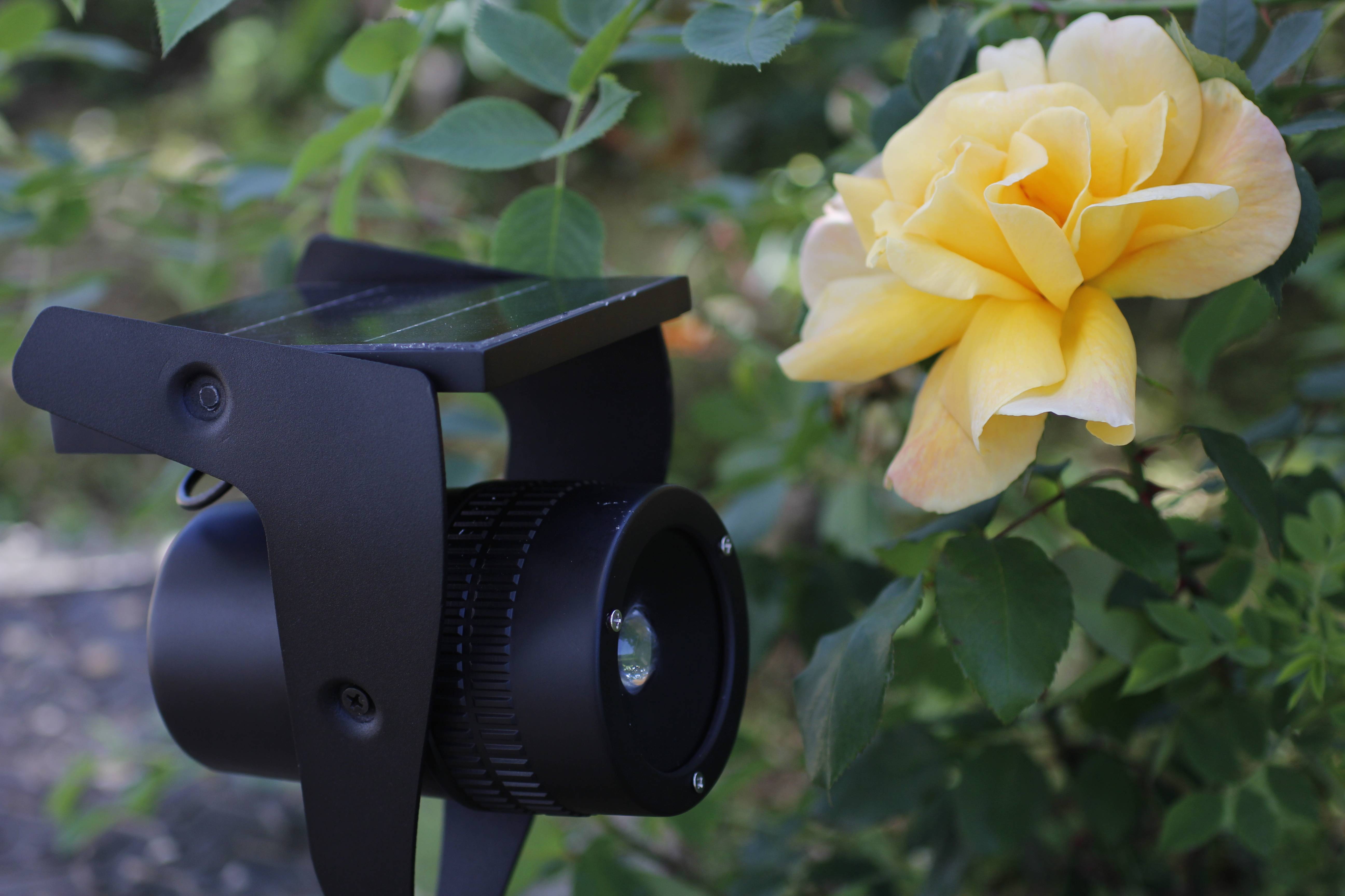 Ecloz - Spot sécurité à planter alu noir 30 lumens - ECLOZ - Image 1