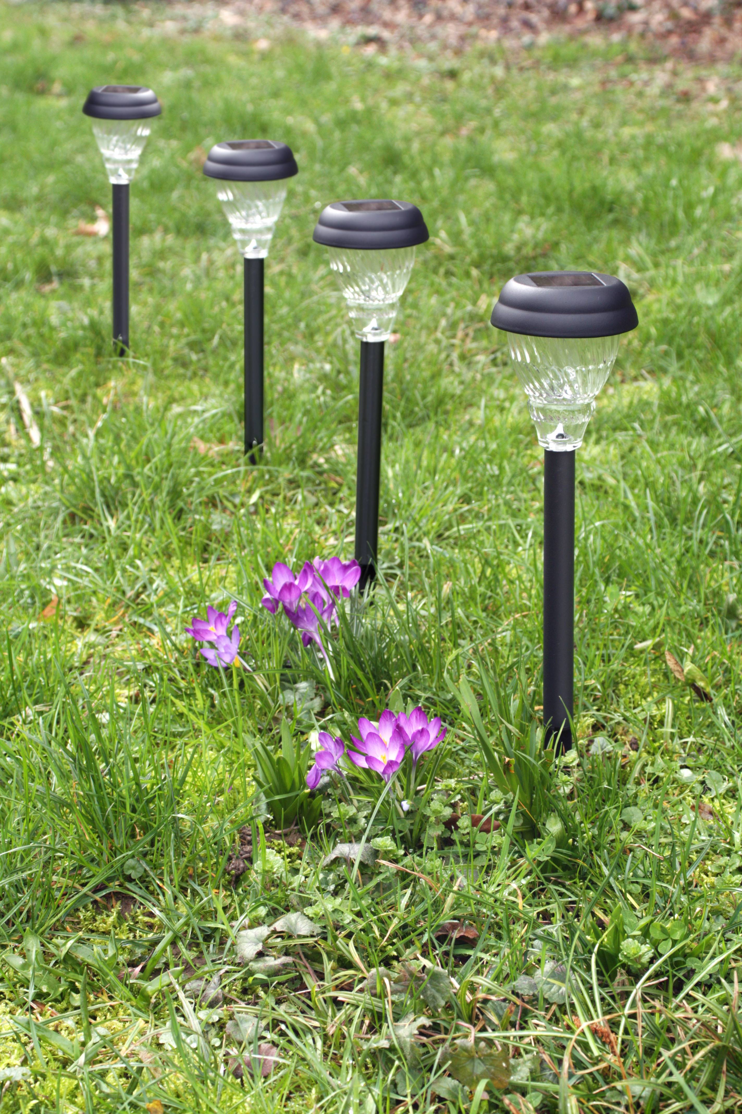 Ecloz - Balise solaire plastique verre liseré 3 lumens - ECLOZ - Image 1