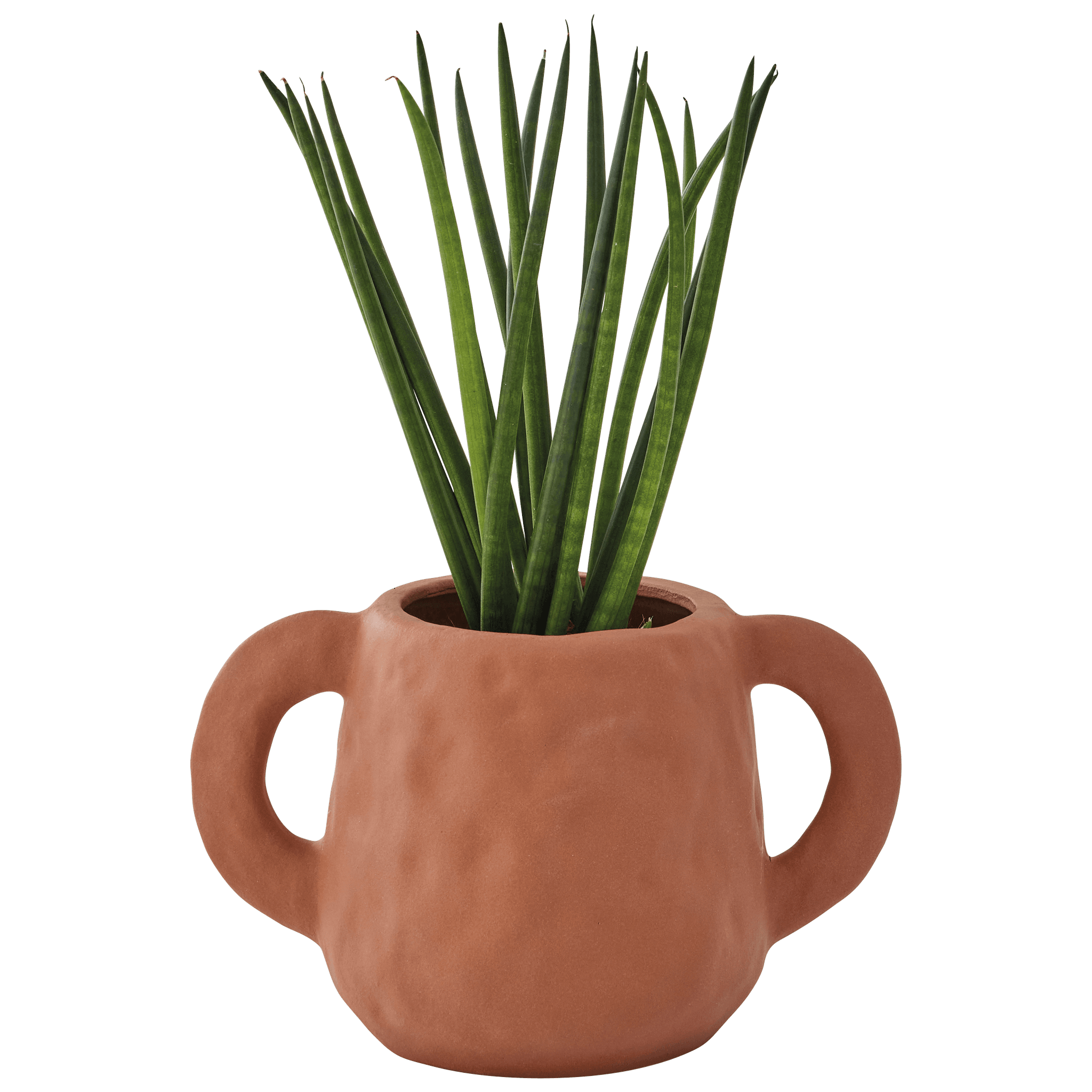 Ecloz - Pot en grès terracotta - ECLOZ - Image 6