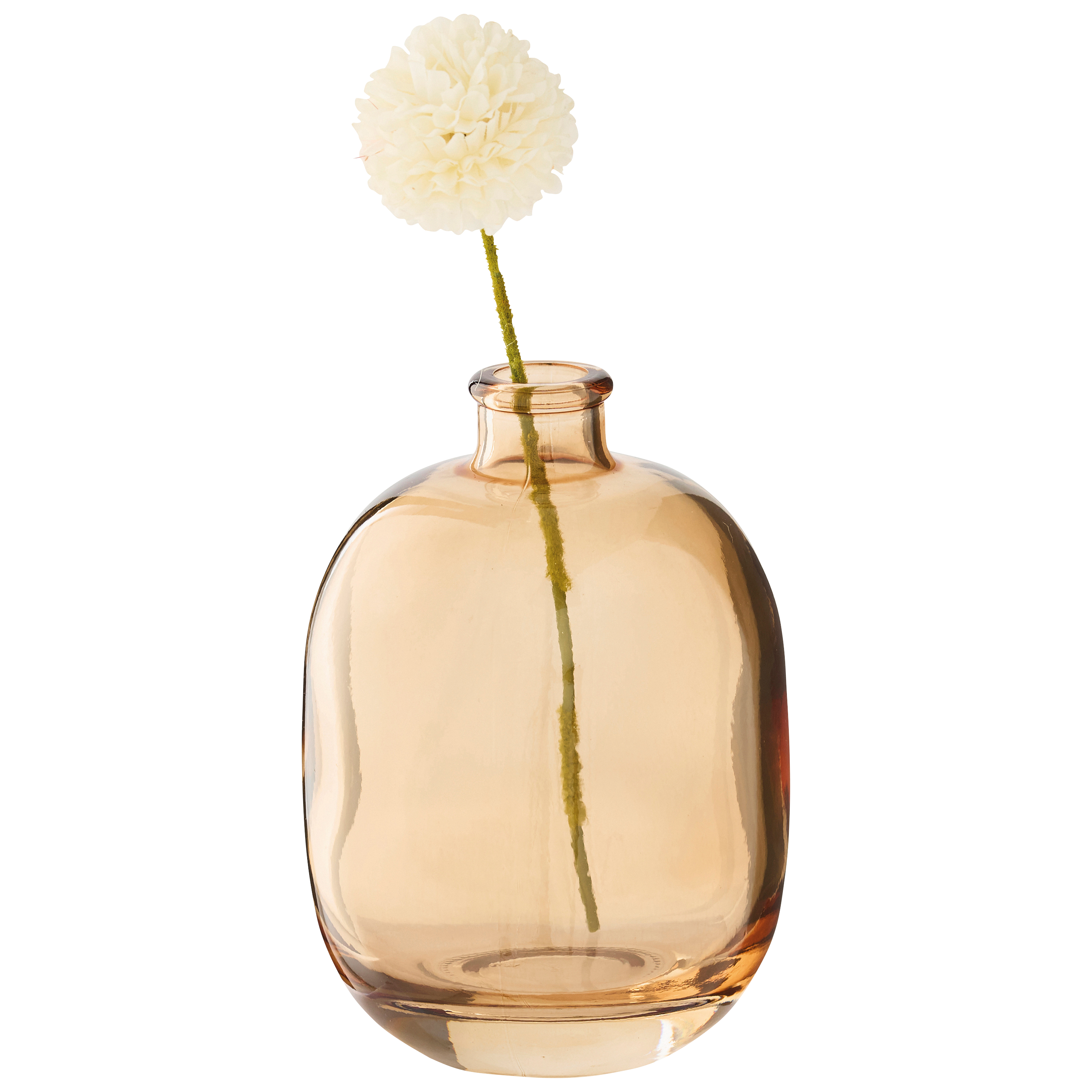 Ecloz - Soliflore transparent beige - ECLOZ - Image 4