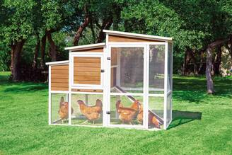 NONAME - Poulailler en bois Laurette 5 à 7 poules
