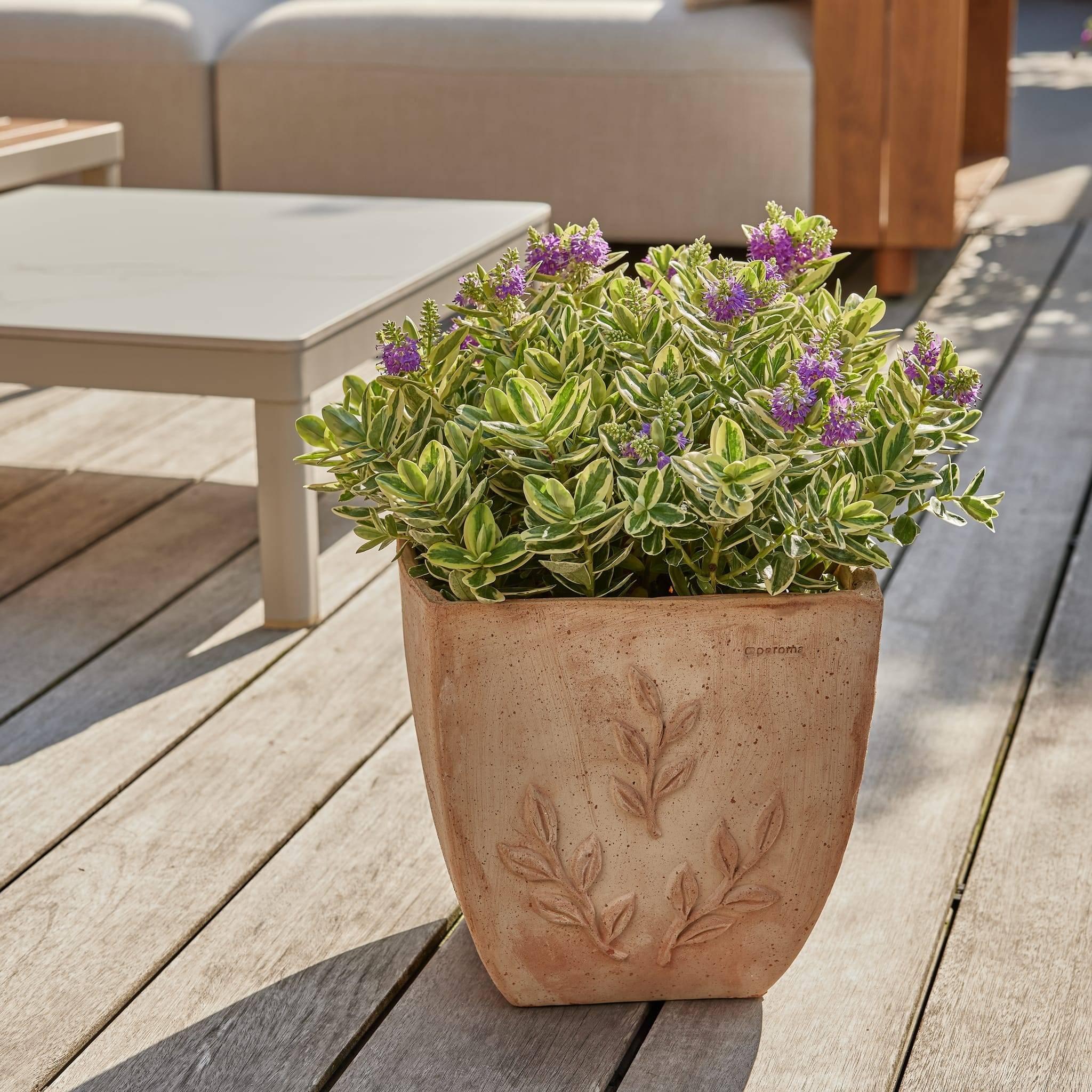 Ecloz - Pot "Amano" carré en terre cuite Galestro Ø 28 cm - ECLOZ
