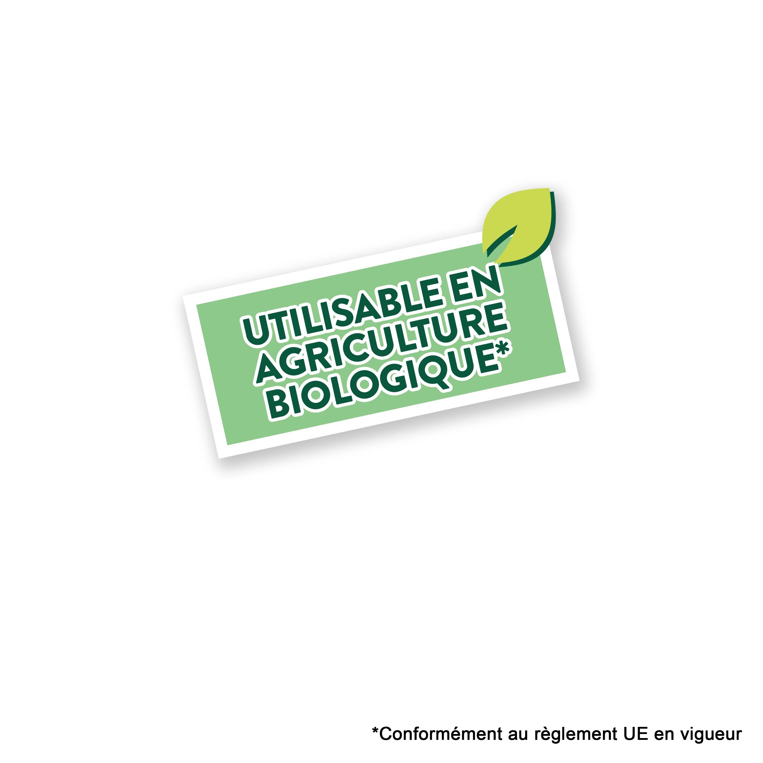 Ecloz - Plaquettes de bois naturel 70 L - Calibre 10/40 mm - ECLOZ - Image 6