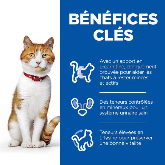 Science plan - Hill's Science Plan Sterilised Cat croquettes pour chat stérilisé au saumon 1,5kg - Image 2