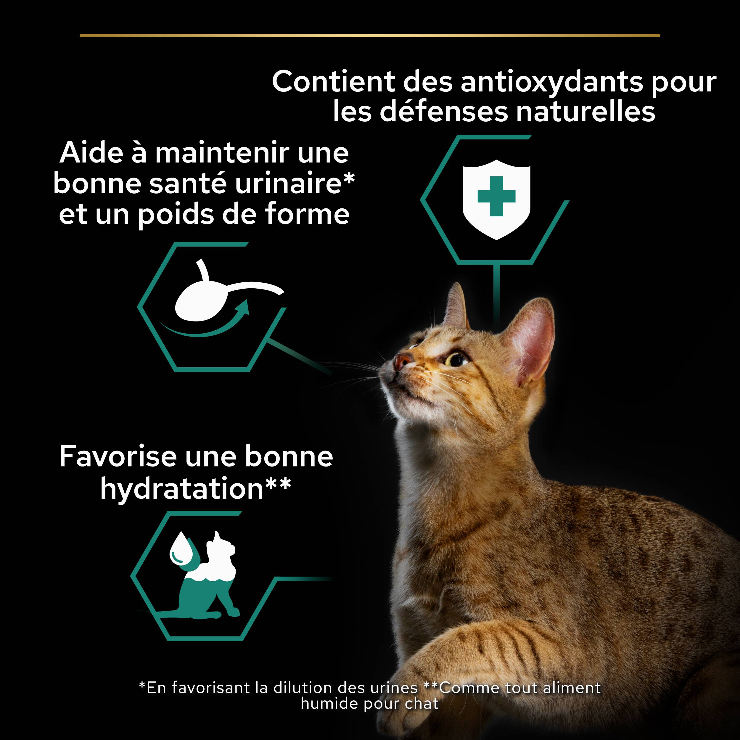Purina Pro Plan - Terrine pour chat adulte stérilisé au cabillaud 10 x 75 g - Pro Plan - Image 4