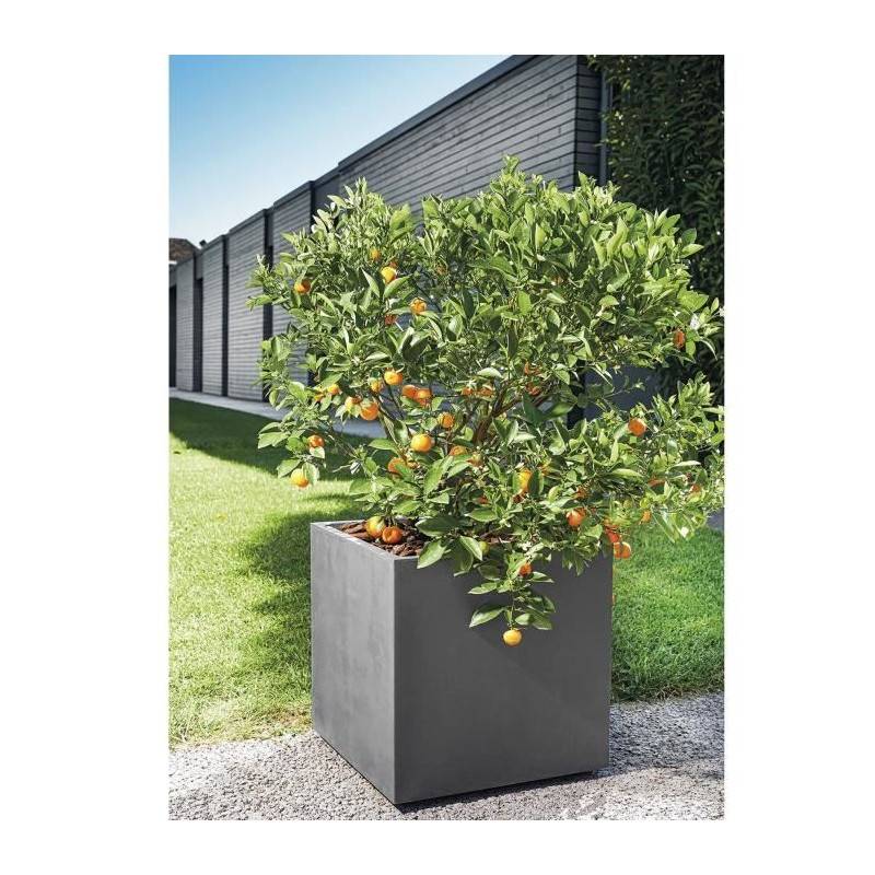 Pot de fleur Cube plastique anthracite L.49 cm H.49.5 cm Millennium R - Deroma - Image 6