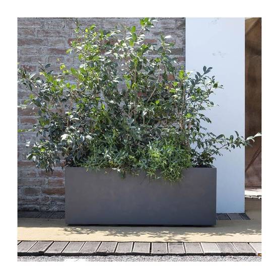 Jardinière muret plastique anthracite L.99 cm H.39 cm - Deroma - Image 2